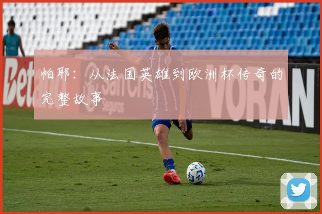 帕耶：从法国英雄到欧洲杯传奇的完整故事
