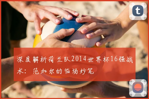 深度解析荷兰队2014世界杯16强战术：范加尔的临场妙笔