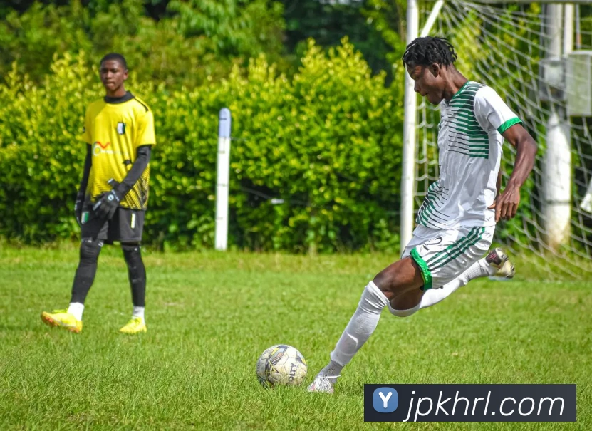 leyu乐鱼手机官网入口品牌故事